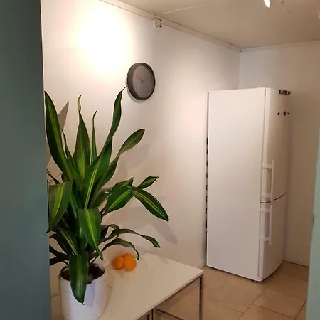 Hanevold Homestay 公寓