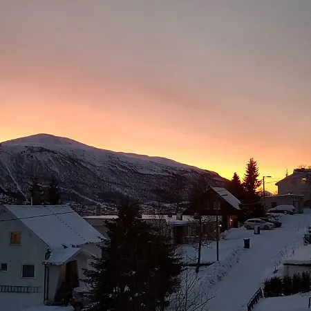 Apartment Hanevold Homestay